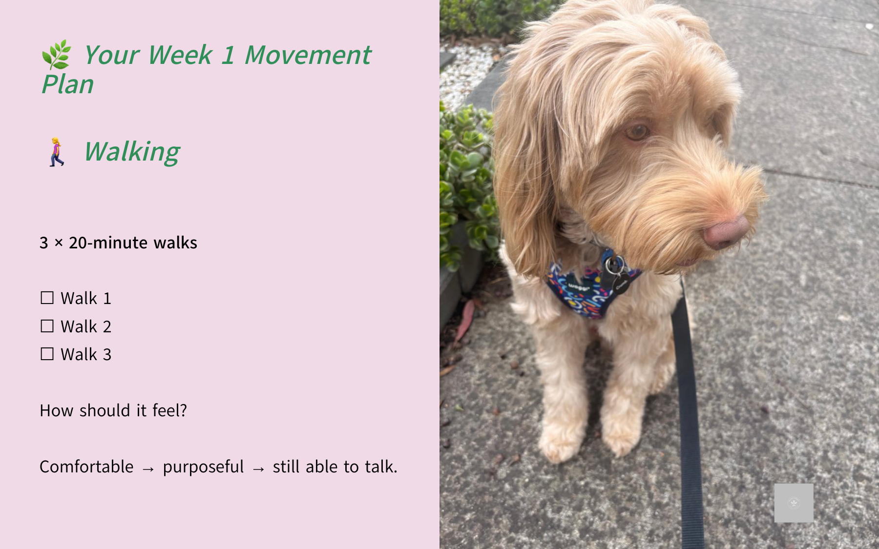 Your week one movement plan sample page 34